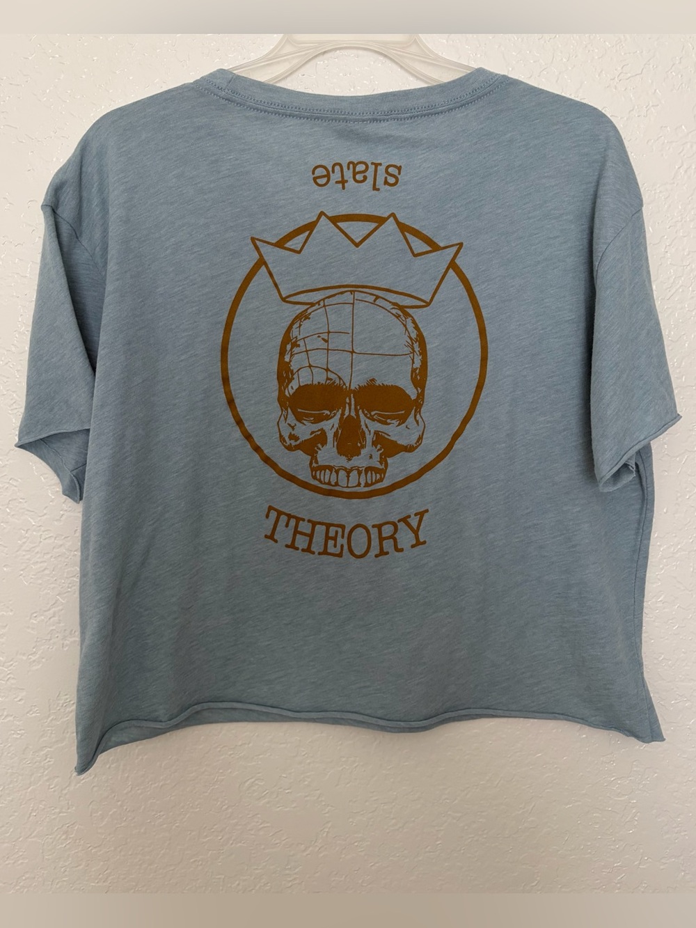 Slate Theory Heather Blue Graphic Cropped Tee Women's US Size XL